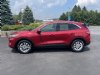 2020 Ford Escape SE Red, Mercer, PA