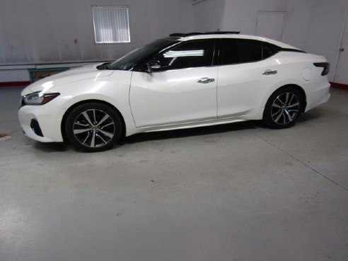 2019 Nissan Maxima SL Pearl White Tricoat, Beaverdale, PA