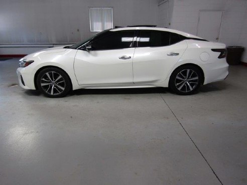 2019 Nissan Maxima SL Pearl White Tricoat, Beaverdale, PA